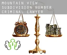 Mountain View Subdivision Number 10  criminal lawyer