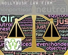 Hollybush  law firm