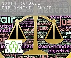 North Randall  employment lawyer