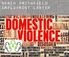 North Smithfield  employment lawyer