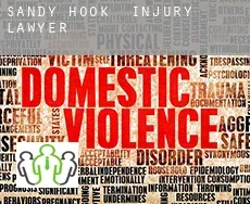 Sandy Hook  injury lawyer