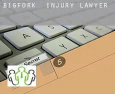 Bigfork  injury lawyer