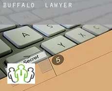 Buffalo  lawyer