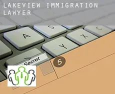 Lakeview  immigration lawyer
