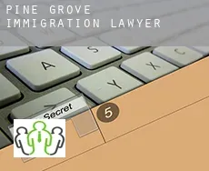 Pine Grove  immigration lawyer