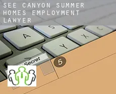 See Canyon Summer Homes  employment lawyer