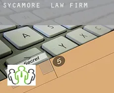 Sycamore  law firm