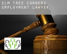 Elm Tree Corners  employment lawyer
