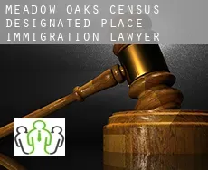 Meadow Oaks  immigration lawyer