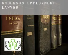 Anderson  employment lawyer