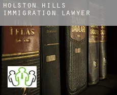 Holston Hills  immigration lawyer