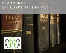 Shannondale  employment lawyer