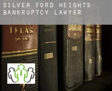 Silver Ford Heights  bankruptcy lawyer