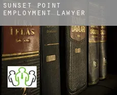 Sunset Point  employment lawyer