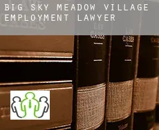 Big Sky Meadow Village employment lawyer