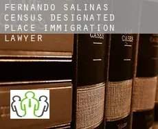 Fernando Salinas  immigration lawyer