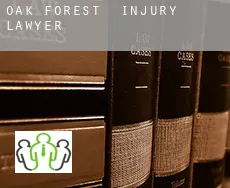 Oak Forest  injury lawyer