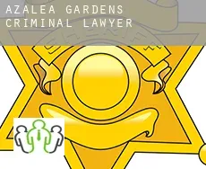 Azalea Gardens  criminal lawyer