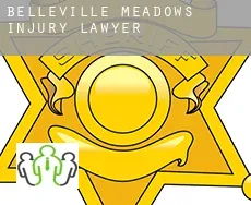 Belleville Meadows  injury lawyer