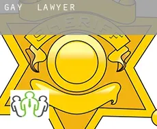 Gay  lawyer