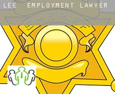 Lee  employment lawyer
