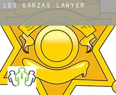 Los Garzas  lawyer