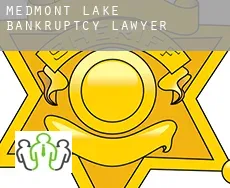Medmont Lake  bankruptcy lawyer