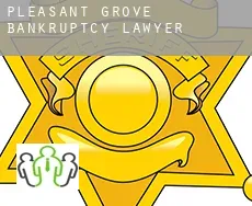 Pleasant Grove bankruptcy lawyer