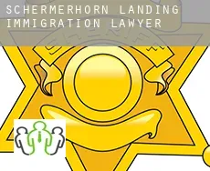 Schermerhorn Landing  immigration lawyer