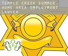 Temple Creek Summer Home Area  employment lawyer