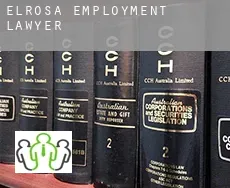 Elrosa  employment lawyer