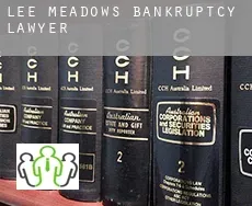 Lee Meadows  bankruptcy lawyer