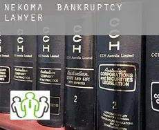 Nekoma bankruptcy lawyer