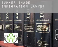 Summer Shade  immigration lawyer
