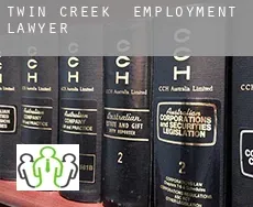 Twin Creek  employment lawyer