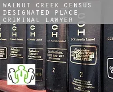 Walnut Creek  criminal lawyer