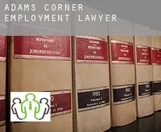 Adams Corner  employment lawyer