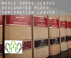 Maple Grove  immigration lawyer