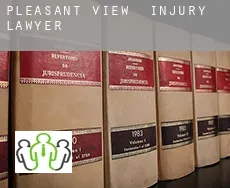 Pleasant View  injury lawyer