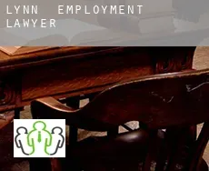 Lynn  employment lawyer