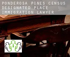 Ponderosa Pines  immigration lawyer
