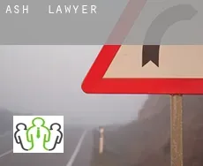 Ash  lawyer