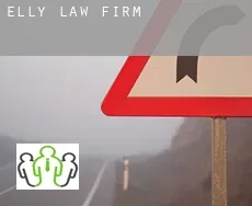 Elly  law firm