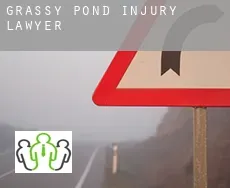 Grassy Pond  injury lawyer