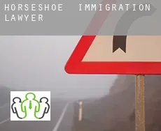 Horseshoe  immigration lawyer
