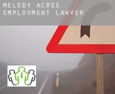Melody Acres  employment lawyer