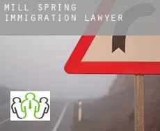 Mill Spring  immigration lawyer