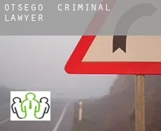 Otsego criminal lawyer