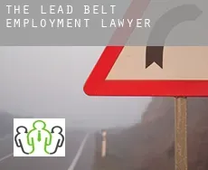 The Lead Belt  employment lawyer