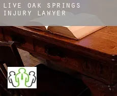 Live Oak Springs  injury lawyer